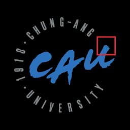 Chung-Ang University